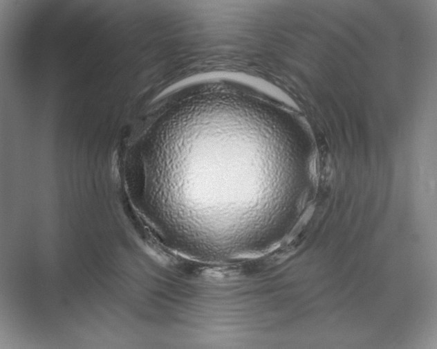 X0000070180568200606091509