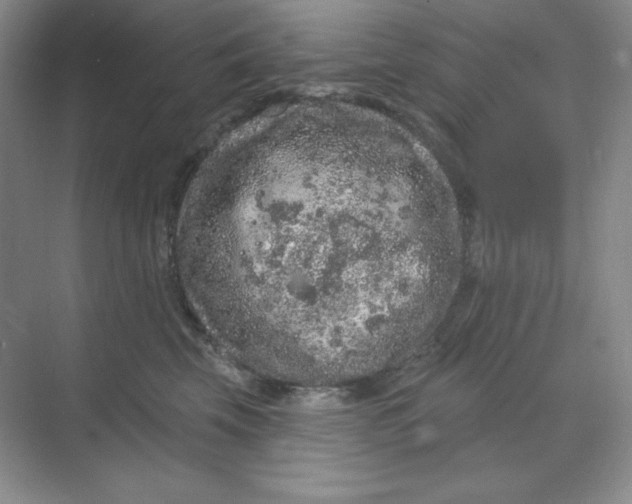 X0000070180569200606091509