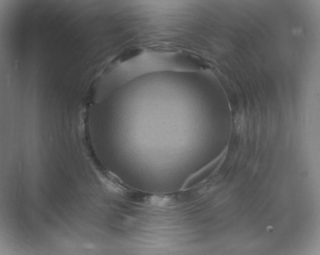 X0000070180570200606091509