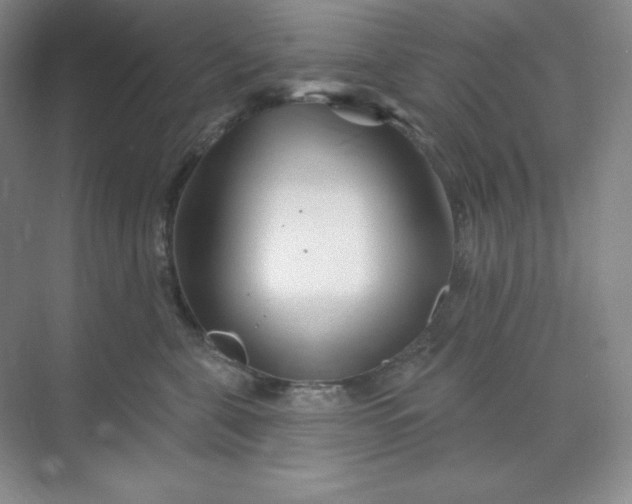 X0000070180571200606091509