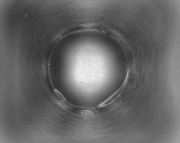 X0000070180572200606091510