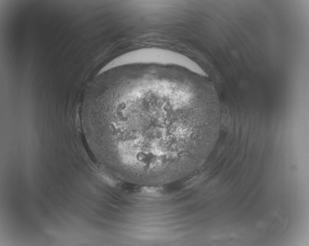 X0000070180573200606091510