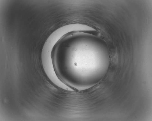 X0000070180574200606091510