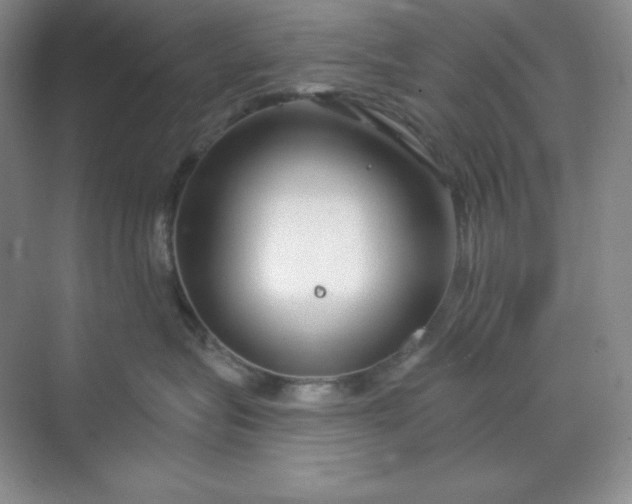 X0000070180575200606091510