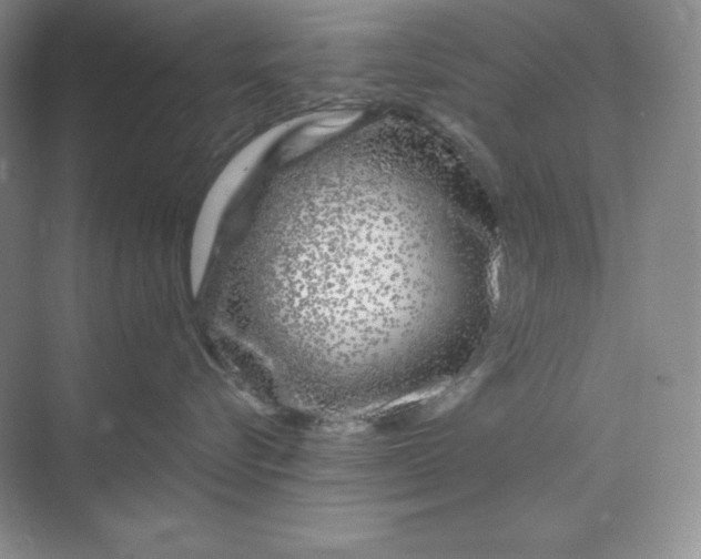 X0000070180576200606091510