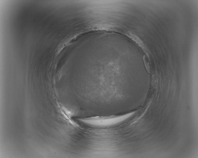 X0000070180577200606091509