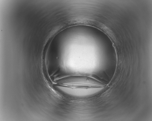 X0000070180578200606091509