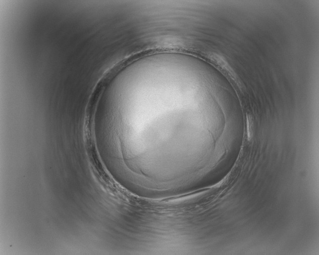 X0000070180579200606091509