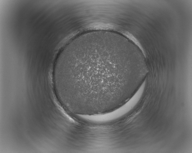 X0000070180581200606091509