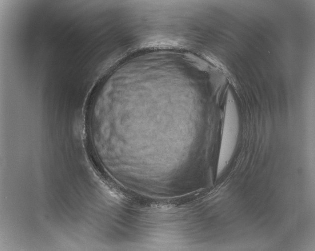 X0000070180582200606091509