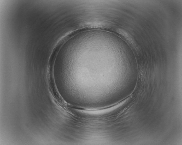 X0000070180583200606091509