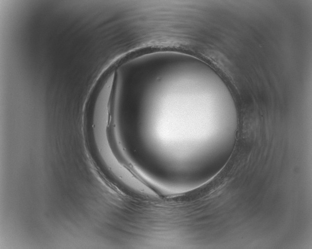 X0000070180584200606091509