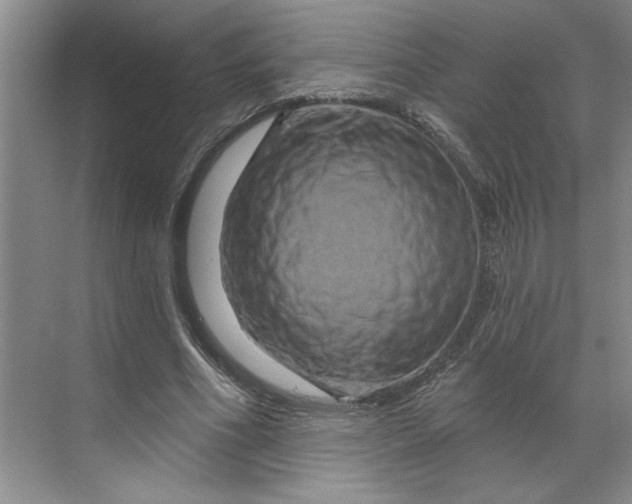 X0000070180586200606091509