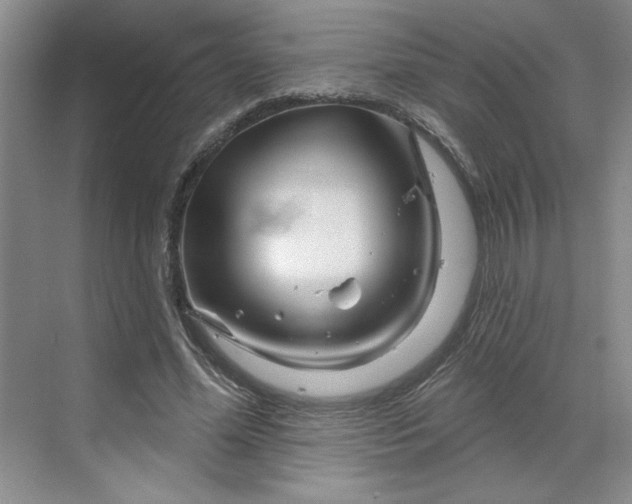 X0000070180588200606091509