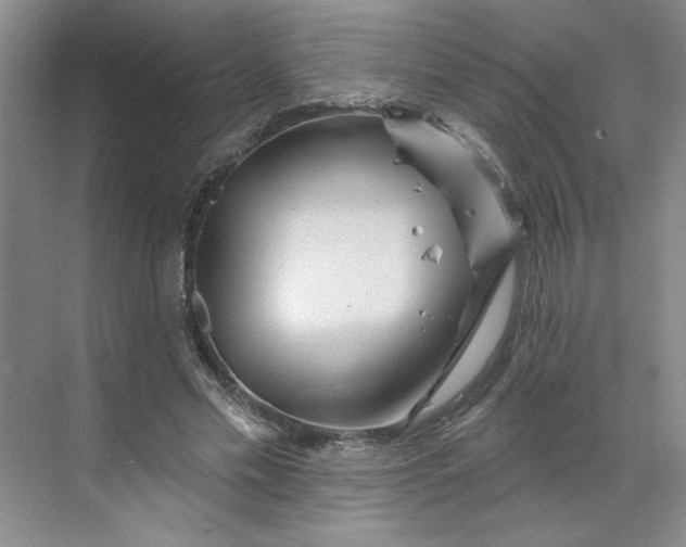 X0000070180589200606091509