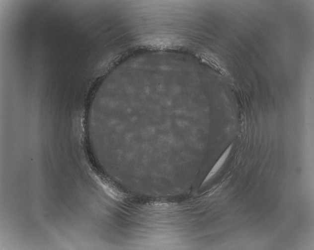 X0000070180590200606091509