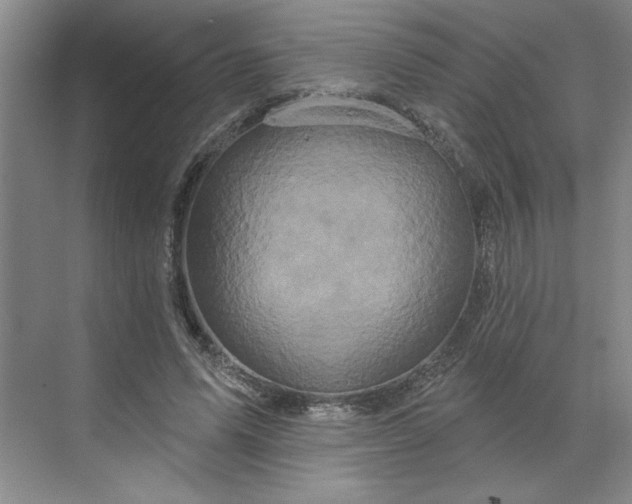 X0000070180591200606091509