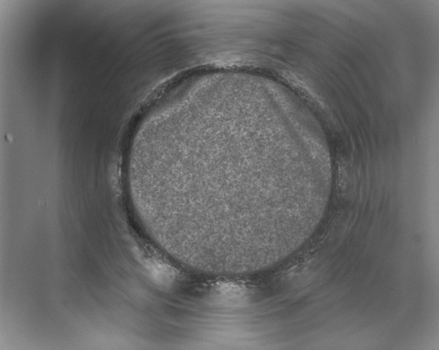 X0000070180592200606091509