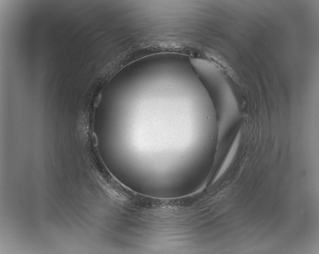 X0000070180593200606091508