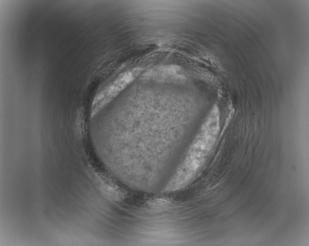 X0000070180594200606091508