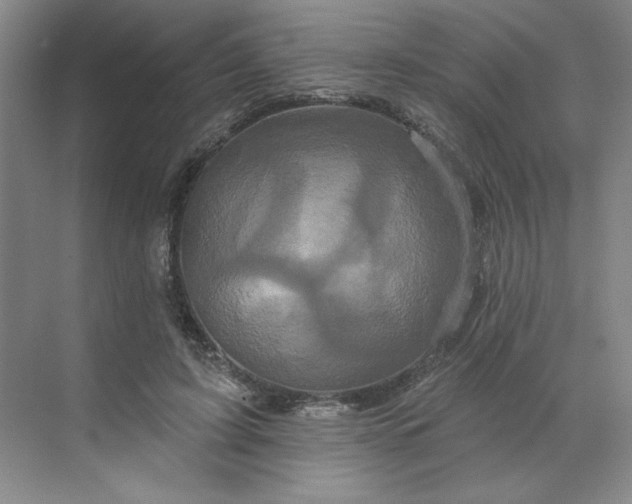 X0000070180595200606091508