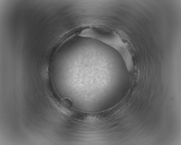 X0000070180596200606091508