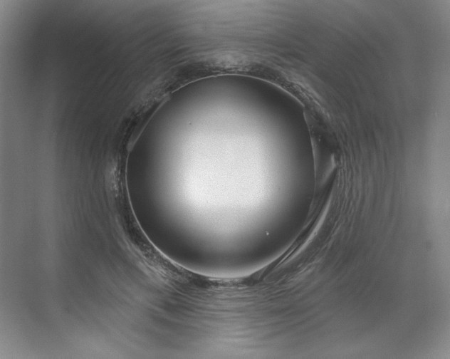 X0000070180597200606091508