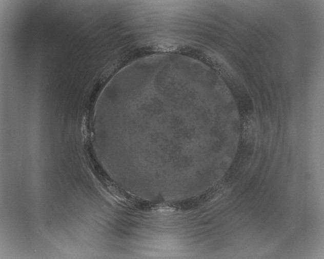 X0000070180598200606091508