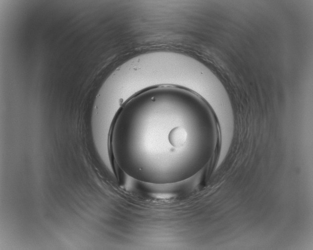 X0000070180599200606091508