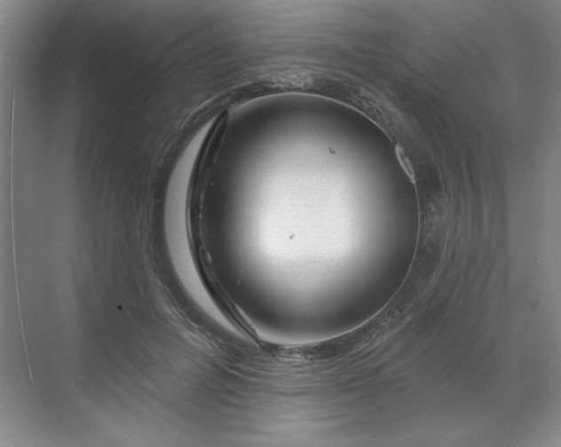 X0000070180600200606091508