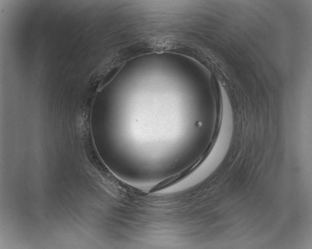 X0000070180601200606091508