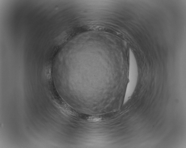 X0000070180602200606091508