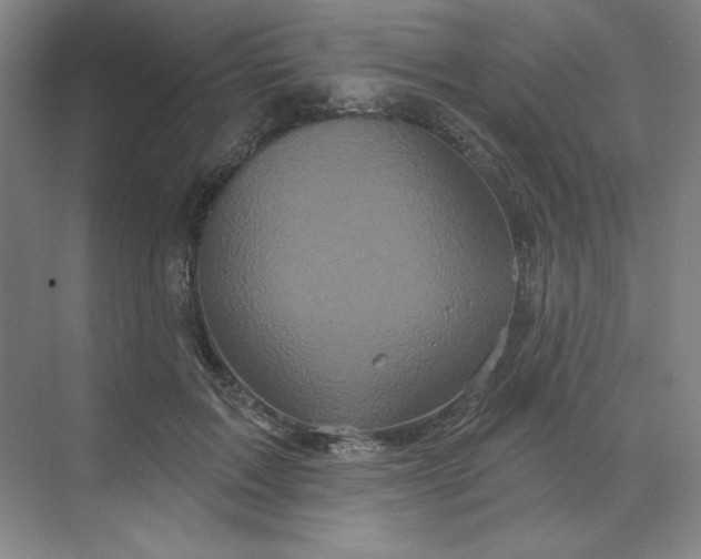 X0000070180603200606091508