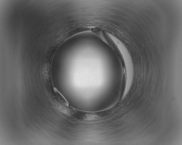 X0000070180605200606091508