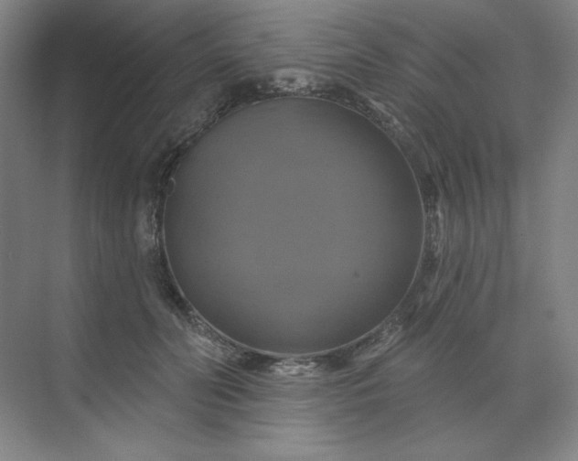 X0000070180606200606091508