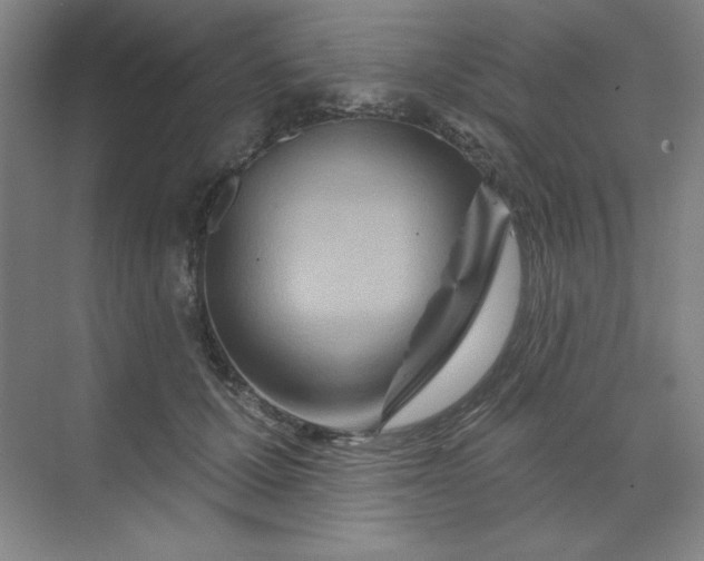 X0000070180607200606091508