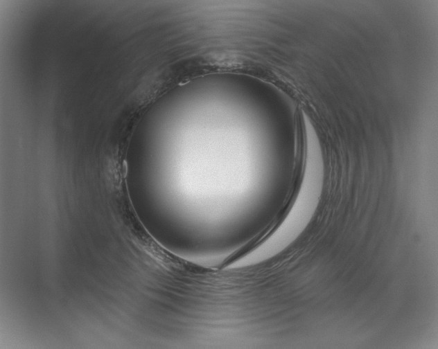 X0000070180609200606091508