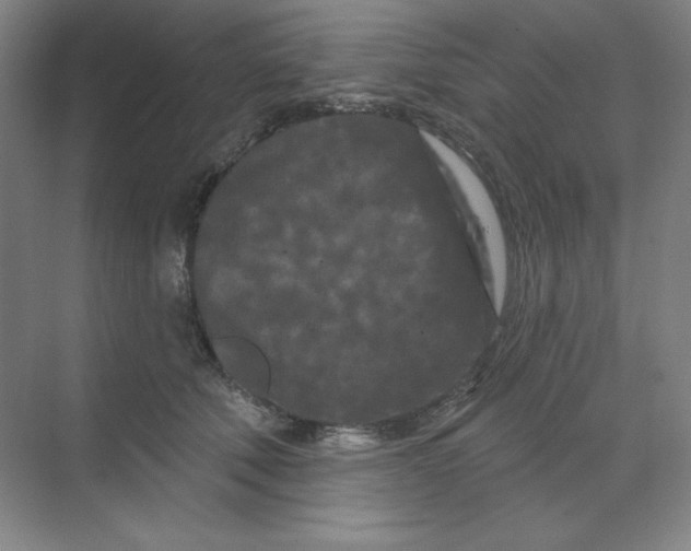 X0000070180610200606091508