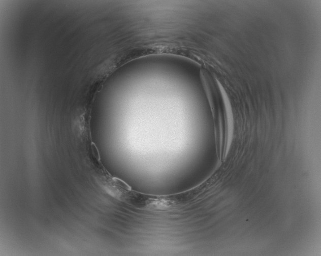 X0000070180611200606091508