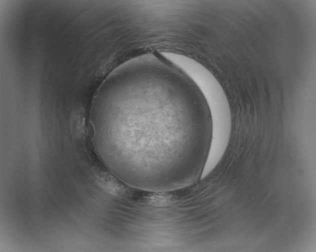 X0000070180615200606091508