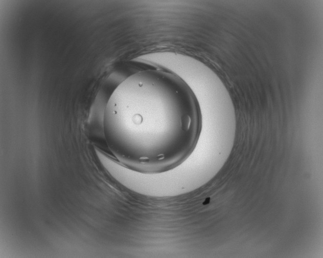 X0000070180617200606091508