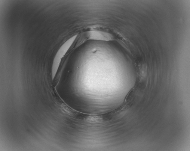 X0000070180619200606091508