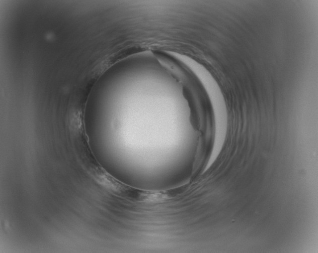 X0000070180621200606091508