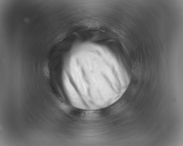 X0000070180622200606091508