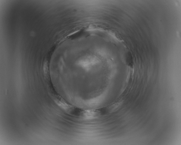 X0000070180623200606091508