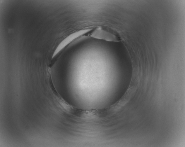 X0000070180624200606091508