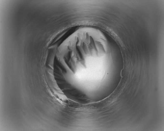 X0000070180625200606091507