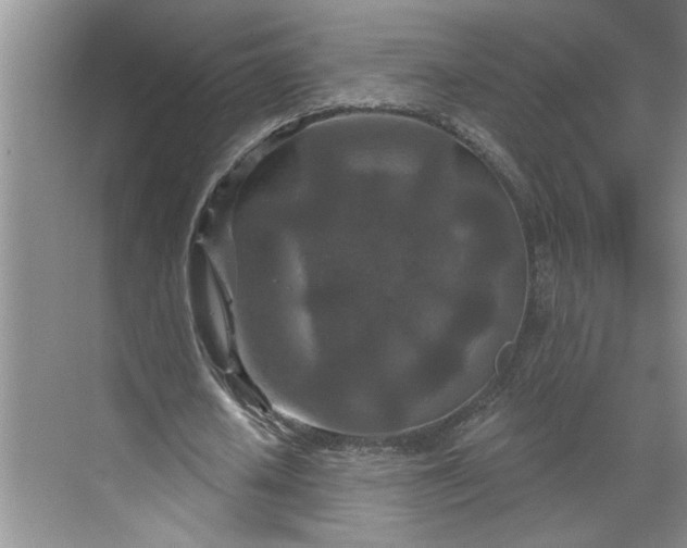 X0000070180626200606091507