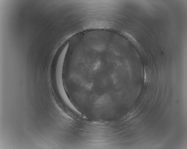 X0000070180627200606091507