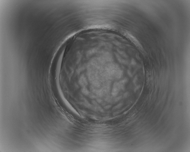 X0000070180628200606091507